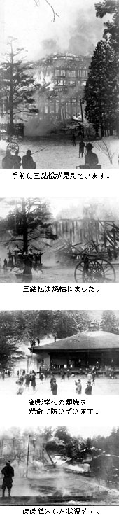 焼きがれた三鈷松、鎮火までの写真